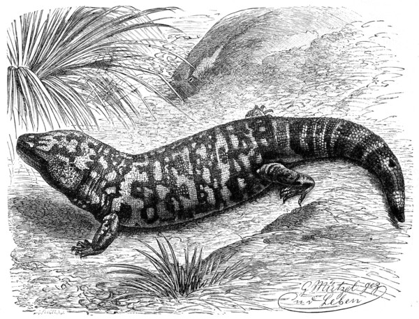Gilatians