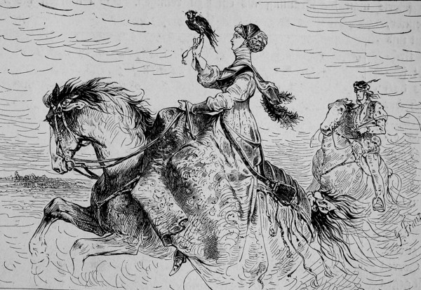 Noble Lady In Falconry In The Middle Ages
