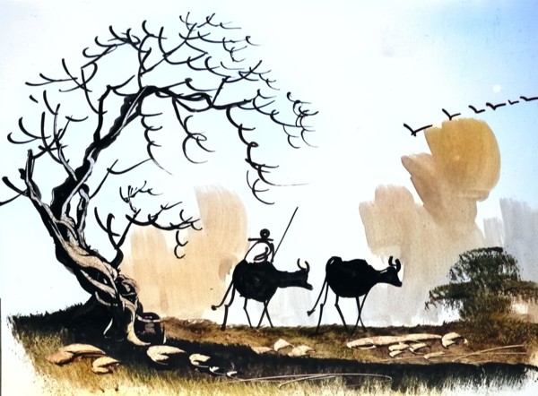Farmer Brings Two Oxen To The Pasture