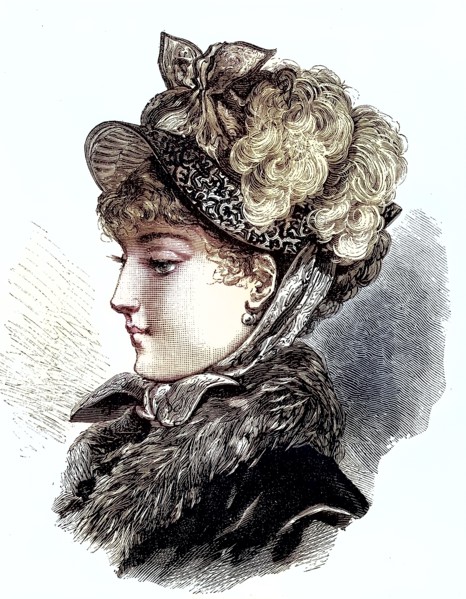 Fashion Picture From 1880