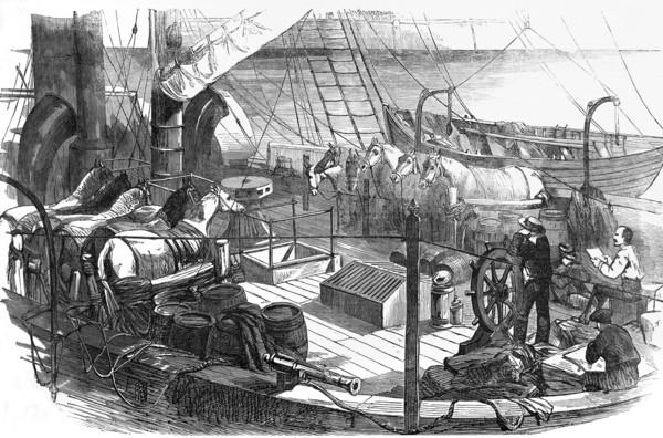 Shipping Artillery Horses At Calais For The French Expeditionary Force To The Baltic.