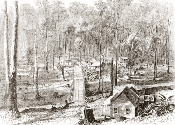 The Fernshaw colony.