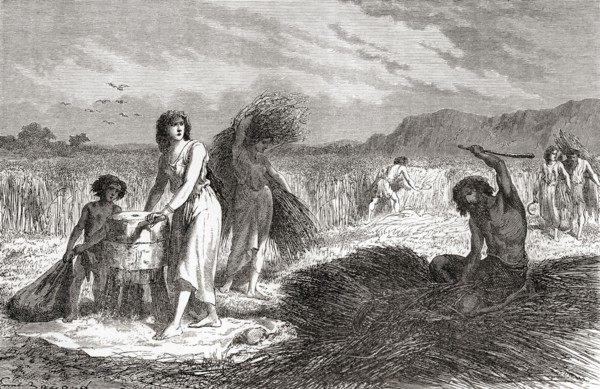 Agriculture during the Iron Age.