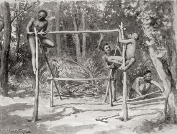 Early Indian natives building a shelter by tying together poles and covering with leaves.