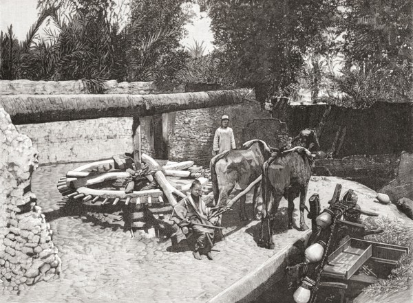 Agriculture in ancient Egypt.