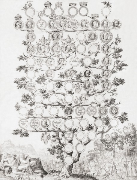 Genealogy of the Medici family of Florence.
