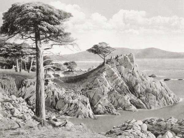 The Lone Cypress Midway Point on the 17 Mile Drive which includes Del Monte.