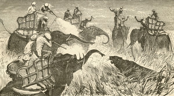 Hunters mounted on elephants.