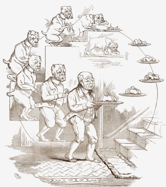 Satire on Charles Darwin's theory of evolution.