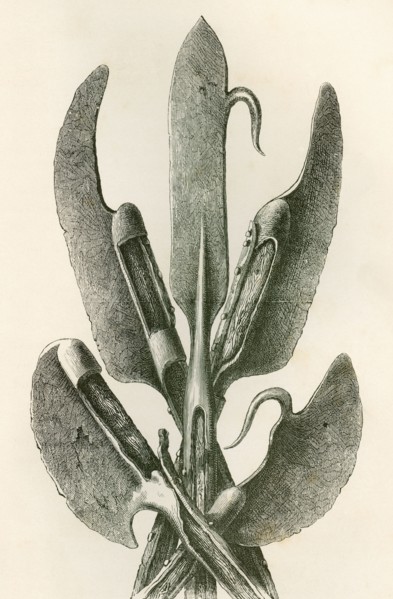 Various types of Lochaber Axes.