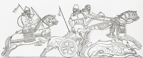 Hunting wild bull in ancient Assyria.