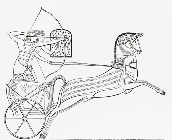 Egyptian war chariot.