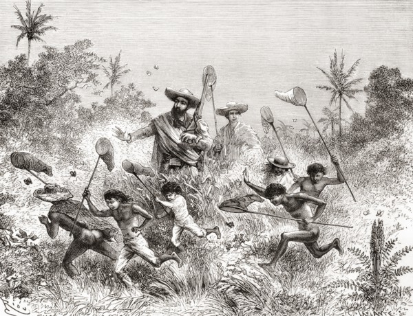 Edouard Francois Andre catching butterflies in Villavicencio.