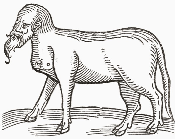 A human faced animal.
