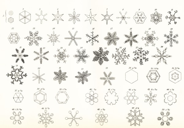 Different Forms Of Snow And Hailstones.