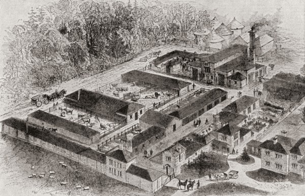 The Model Farm Of Albert Edward.