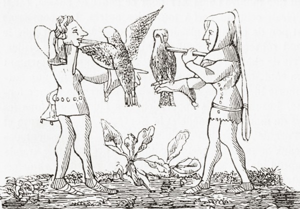 Falconry in the middle ages.