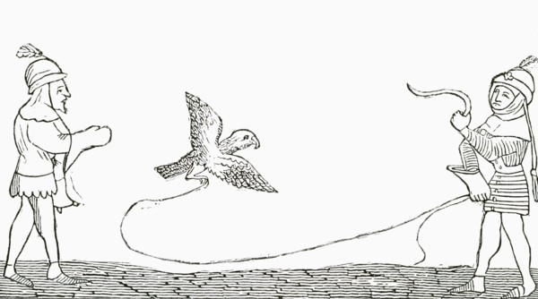 Falconry in the middle ages.