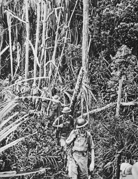 British troops in a tropical jungle in Malaya.