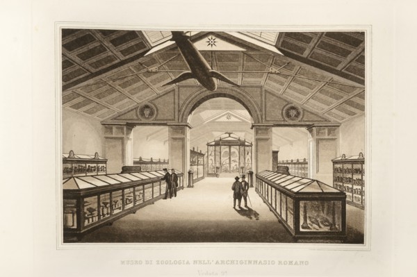La Science et les Arts sous le pontificat du pape Pie IX, 1860
