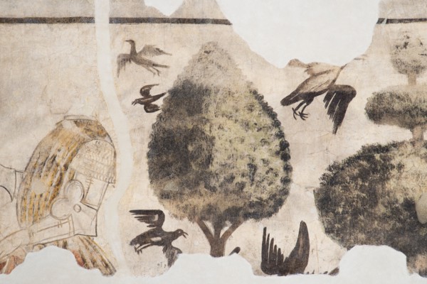Frescoes in the Town Hall of Esanatoglia