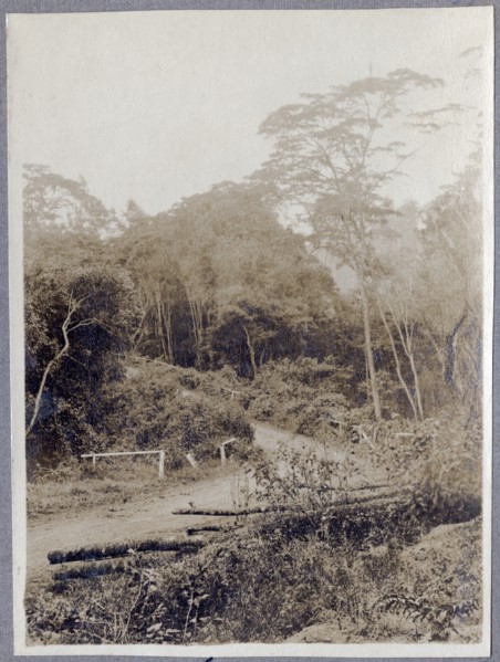 Tana River