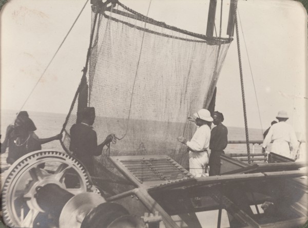 Deep sea trawl net on the RIMS Investigator