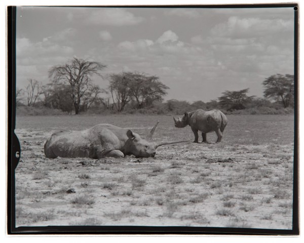 Amboseli Game Reserve