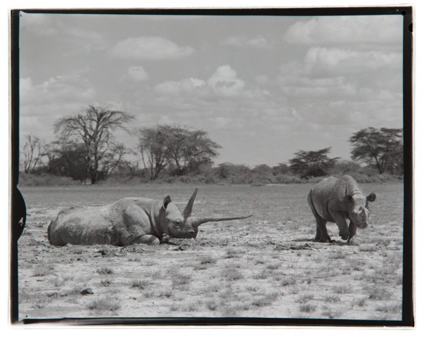 Amboseli Game Reserve