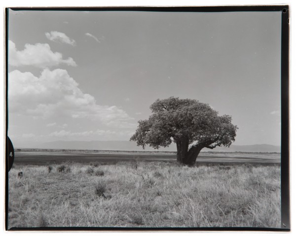 View of Lake Manyara