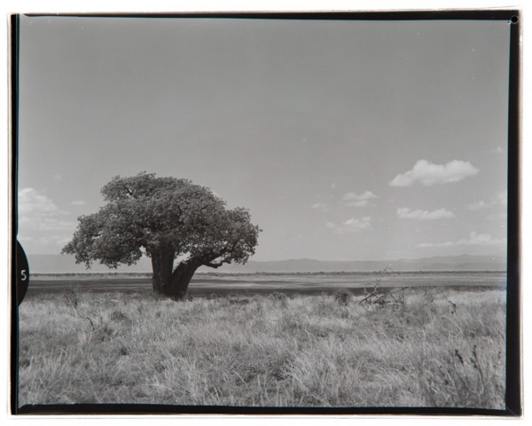 View of Lake Manyara