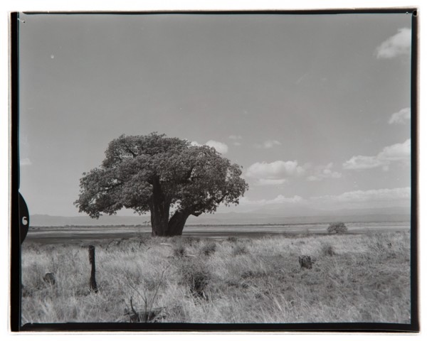 View of Lake Manyara