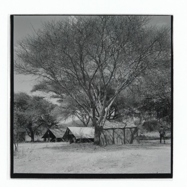 Golden Hill Safari Camp