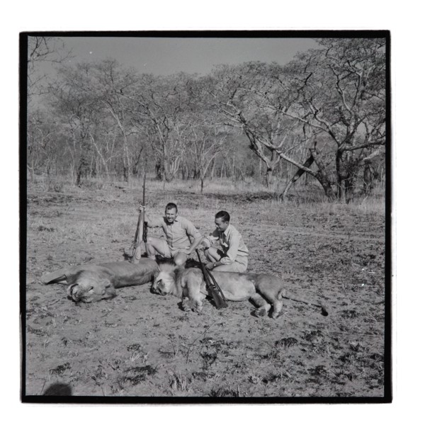 Golden Hill Safari Camp