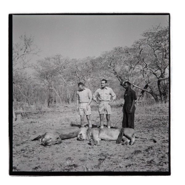Golden Hill Safari Camp