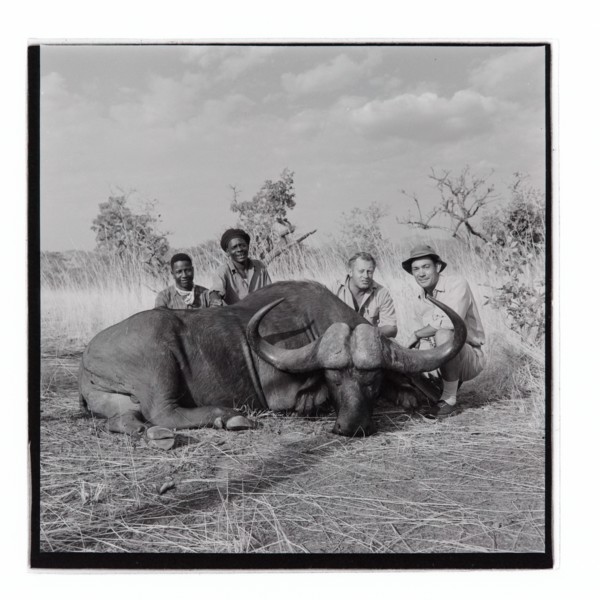 Golden Hill Safari Camp