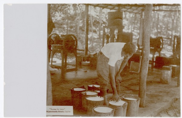 Rubber factory worker with buckets of latex