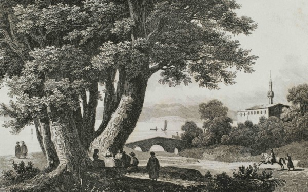 Ottoman Empire. Turkey. 40 plane trees of Godfrey of Bouillon. Prairie of Buyukdere. According to