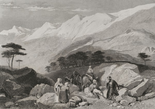 Mount Lebanon. Cedars. Engraving by Ransonnette. ""La Tierra Santa y los lugares recorridos por los