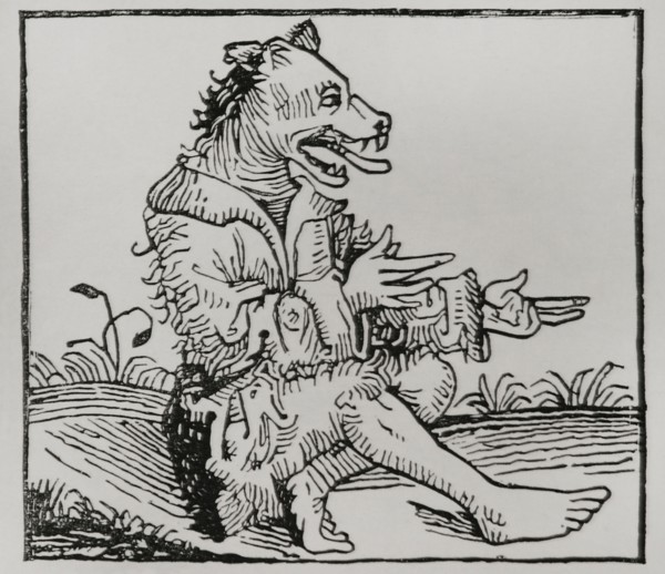 Monsters born from the Deluge. Dog-headed man. After wood engraving in the ""Chronique de