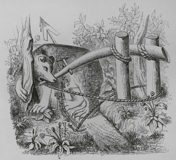 How bears and other beasts may be caught with a dart. 19th century facsimile after a miniature in