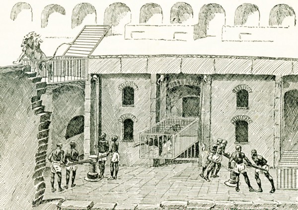 This illustration dates to 1897 and shows the method of raising wild beasts in the amphitheatre in