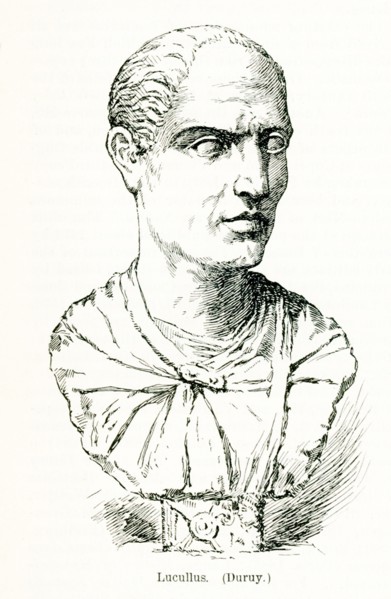 This illustration dates to 1897 and is a copy of a bust of Lucullus. Lucius Licinius Lucullus,
