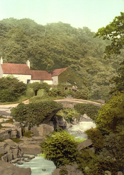 Jesmond Dene.