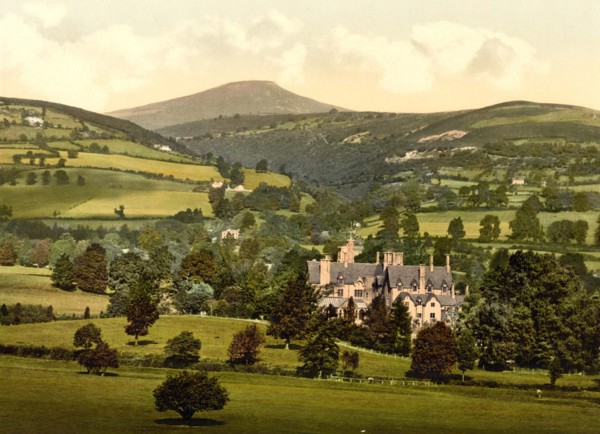Nevill court.
