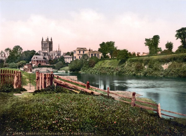Cathedral of Wye meadows.