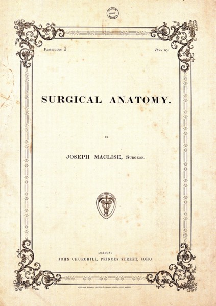Surgical human anatomy