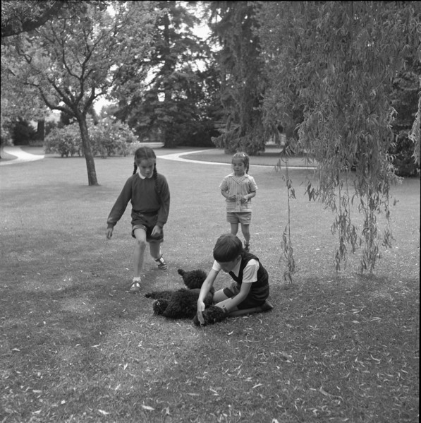 Geraldine, Josephine and Michael Chaplin, 1953.