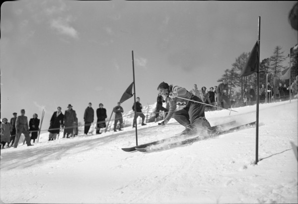 Resi Hammerer, around 1947 .