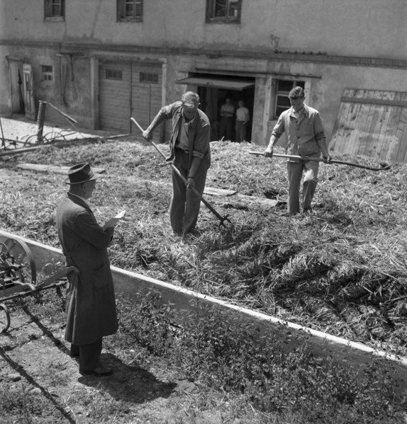 Examination of farmers at Wallierhof, Riedholz 1945.